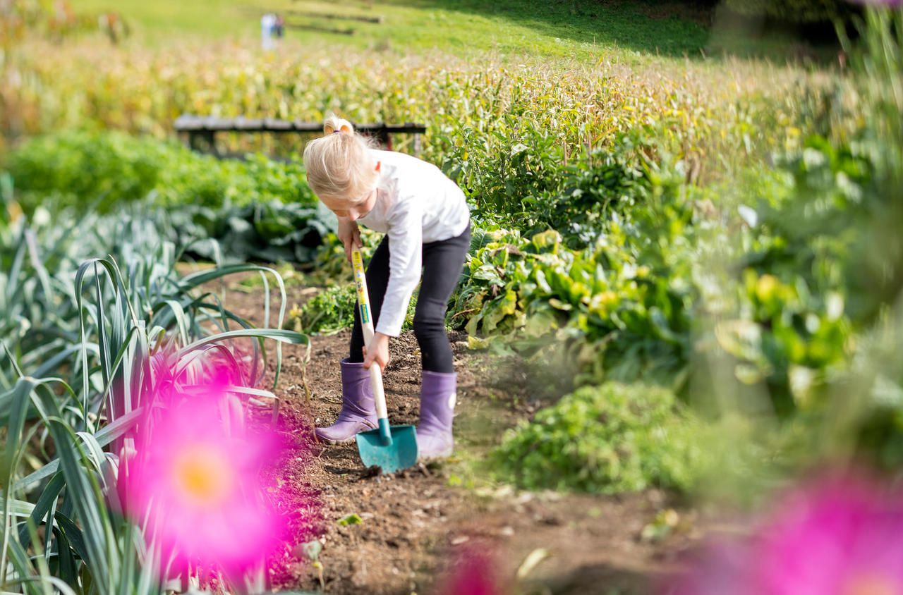 Education : sensibilisés à la nature, les enfants adorent jardiner