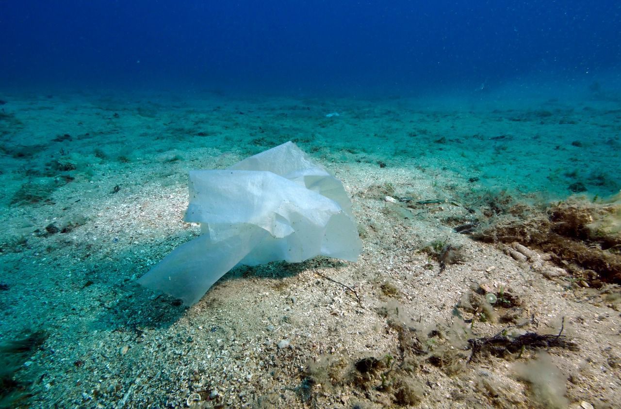 La Méditerranée se noie dans le plastique