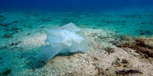 La Méditerranée se noie dans le plastique