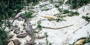 Guyane : l’orpaillage illégal, fléau pour la forêt et la rivière