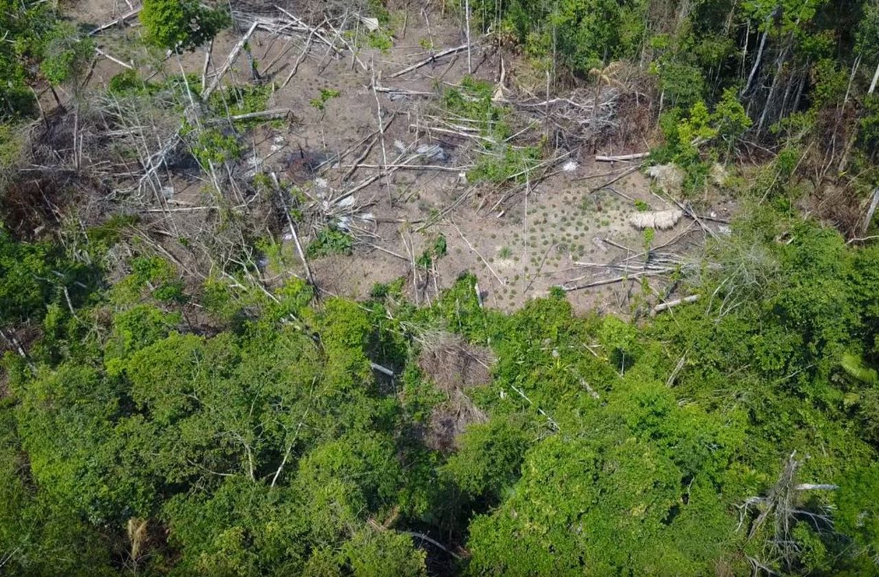 Un drone filme une tribu autochtone inconnue au fin fond de l’Amazonie