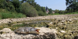 Environnement : la rivière du Doubs a disparu