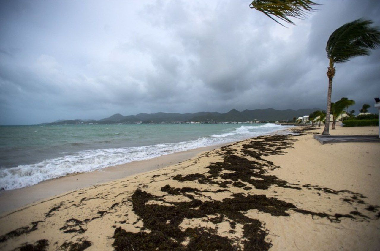 Des ouragans se dirigent vers Hawaï et le Mexique