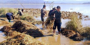 Des inondations en Corée du Nord ont fait au moins 76 morts