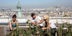 Paris : le plus beau potager est… sur le toit l’Opéra Bastille