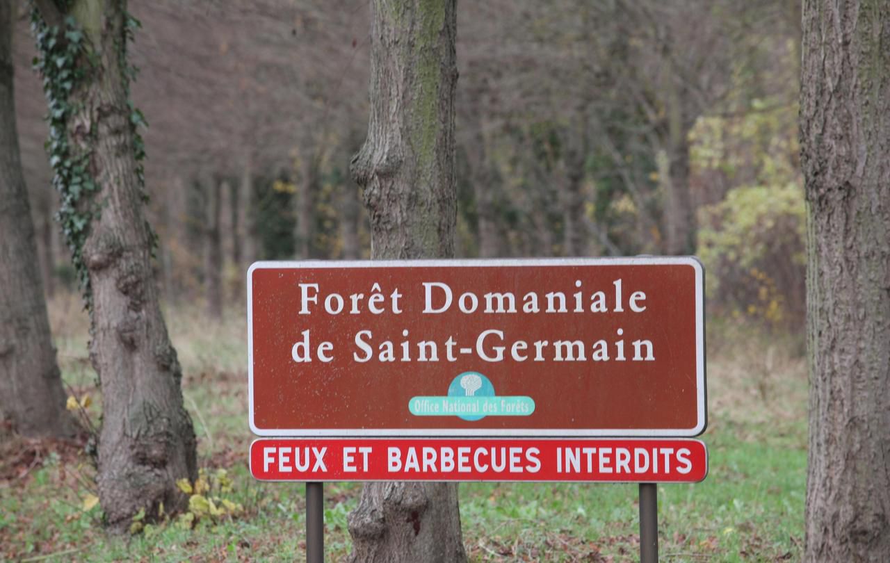 Saint-Germain-en-Laye : la forêt sera «protégée» avant la fin de l’année