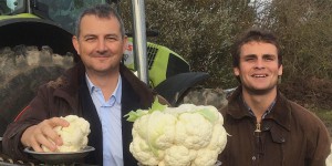 Bretagne : donnez votre bon de réduction pour aider les agriculteurs à passer au bio