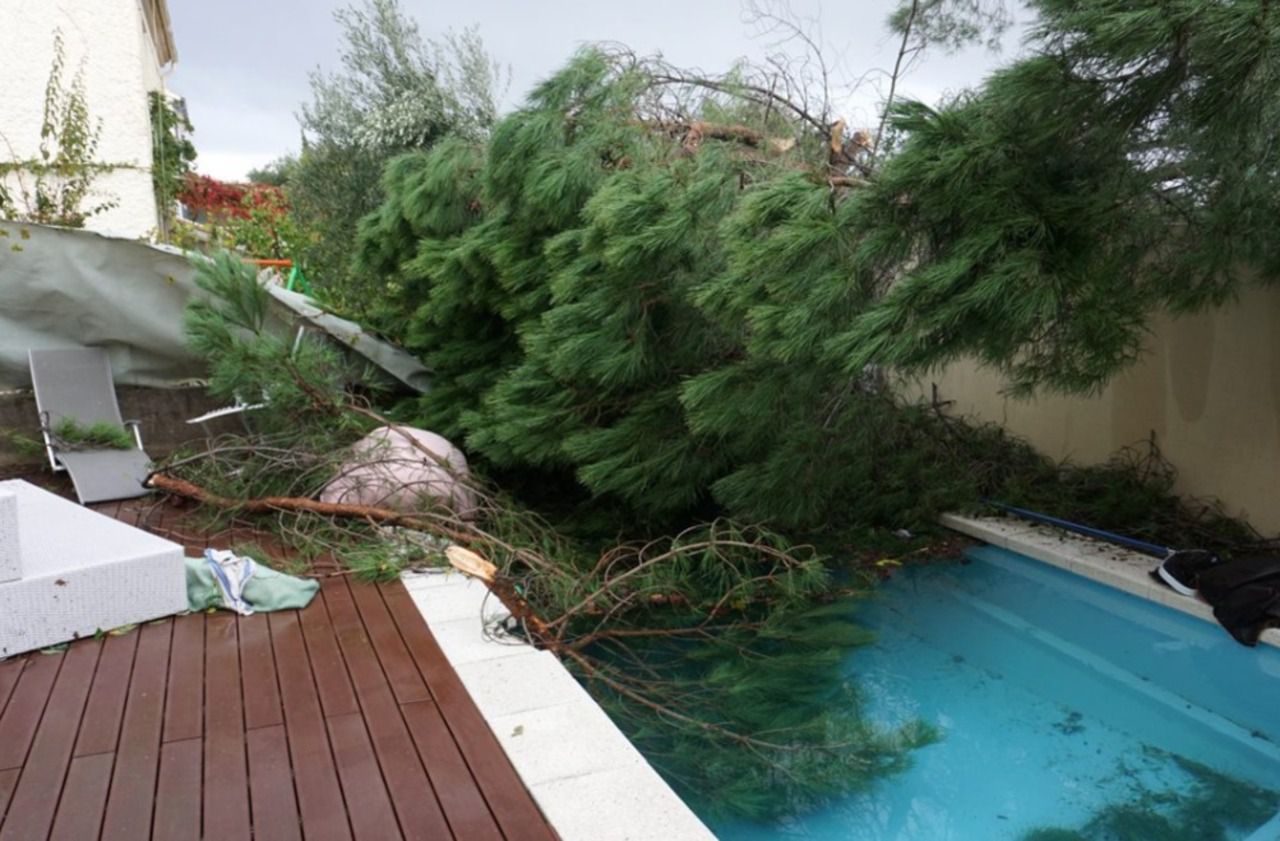 Hérault : grosse frayeur après le passage d’une mini-tornade au Crès