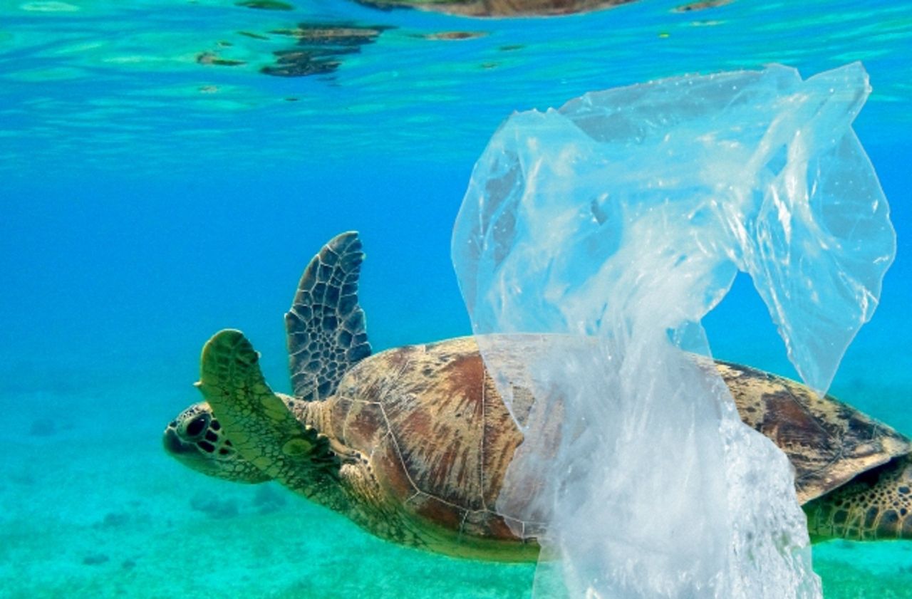 La Nouvelle-Calédonie interdit le plastique à usage unique