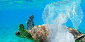 La Nouvelle-Calédonie interdit le plastique à usage unique