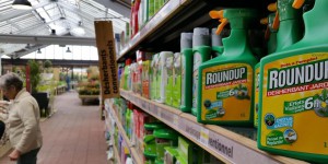 Glyphosate : la justice annule l’autorisation de mise sur le marché du Roundup Pro 360