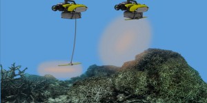 Des robots pour repeupler les récifs coralliens