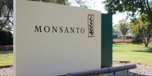 Monsanto : d’autres pays que la France seraient concernés par du fichage illégal