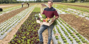 Manger bio et local : pourquoi l’Ile-de-France et l’Oise peuvent se réjouir