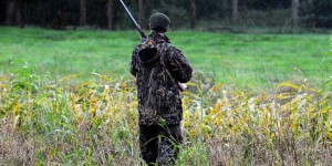 Haut-Rhin : des chasseurs victimes d’agressions  se créent un réseau de veille