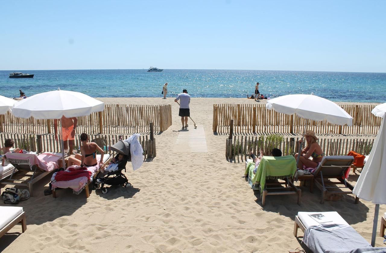 Saint-Tropez : la nature retrouve un peu plus ses droits sur la plage de Pampelonne