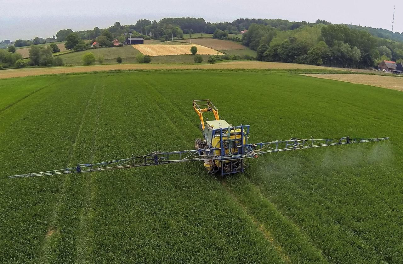 Arrêtés sur les pesticides dans le Nord : l’Etat menace les maires d’actions en justice