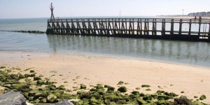 Pollution : plusieurs plages de Normandie interdites à la baignade