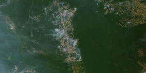 Amazonie :  le «Jour du Feu», l’acte criminel qui a décuplé la catastrophe