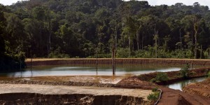 Amazonie : l’Etat laisse-t-il vraiment les mines ronger la Guyane ?