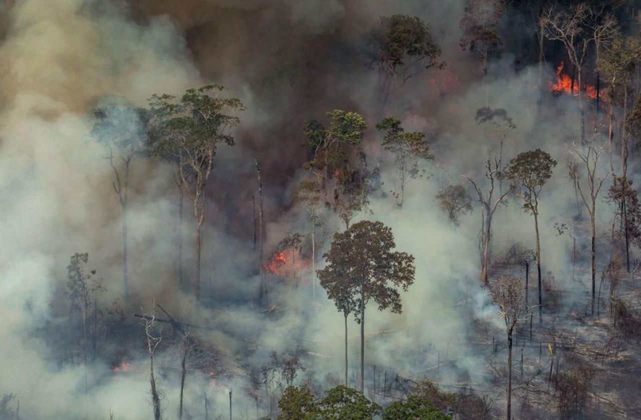Depuis le début de l’année, il y a eu trois fois plus de feux de forêts en RDC qu’au Brésil