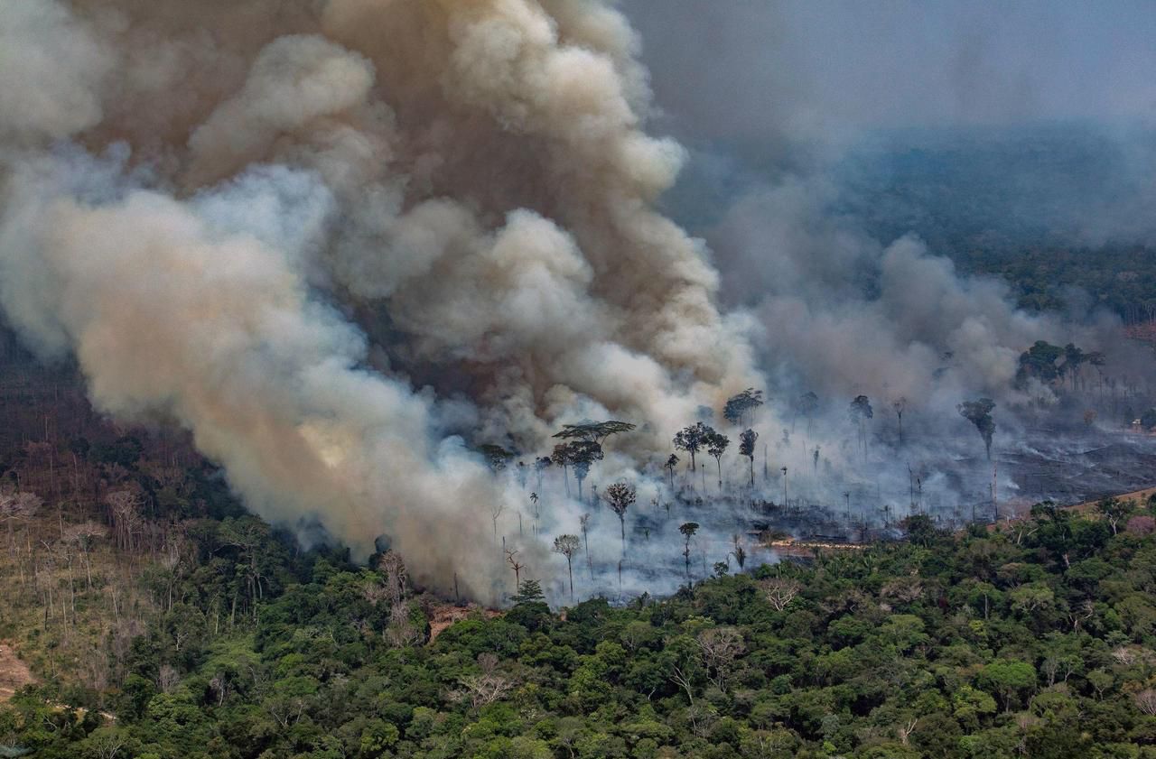 Incendies en Amazonie : le G7 annonce une aide d’urgence