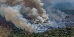 Incendies en Amazonie : le G7 annonce une aide d’urgence