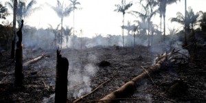 Incendies en Amazonie : les trois cartes pour tout comprendre