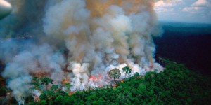 Incendies en Amazonie : l’histoire de la photo erronée diffusée par Macron
