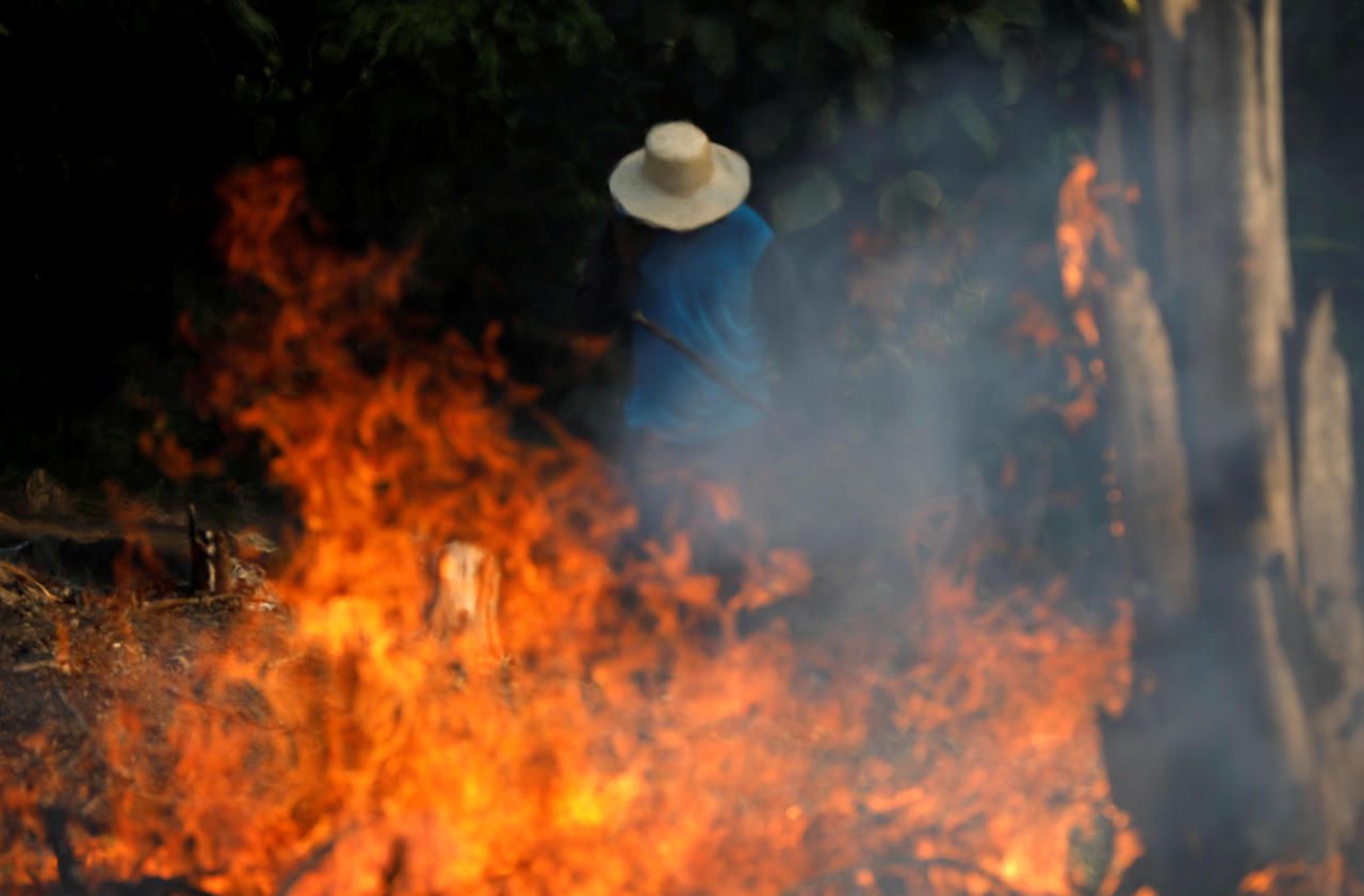 Incendies en Amazonie : la situation est « hors de contrôle », s’inquiète une écologiste brésilienne