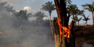L’année tragique de l’Amazonie, à nouveau ravagée par des incendies