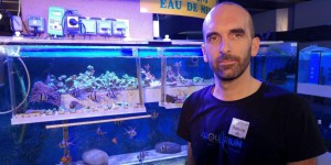 L’aquarium de Limoges teste la céramique pour sauver les récifs coralliens