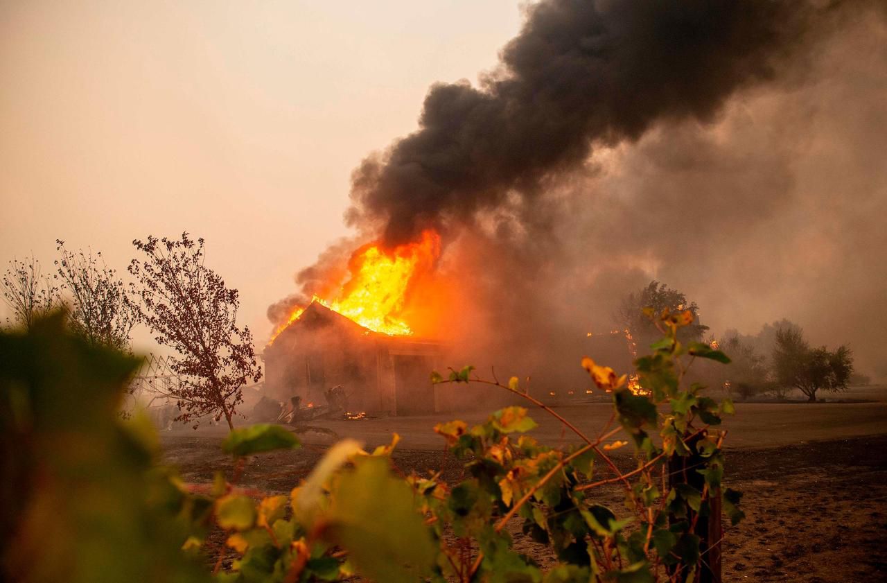 Incendies  en Californie : pourquoi des feux aussi fréquents et aussi importants