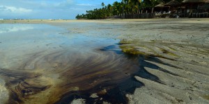Plages souillées par le pétrole au Brésil : ce que l’on sait de ce «désastre» environnemental