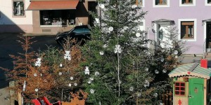 Grand-Est : des sapins de Noël desséchés pour alerter sur le réchauffement climatique