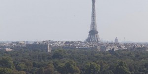 Ile-de-France : les experts testent des arbres résistants et rafraîchissants