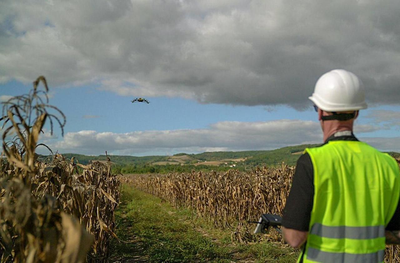 Occitanie : contre les plantes toxiques, le roi du pop-corn utilise des drones