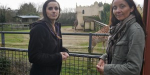 Le zoo de Pont-Scorff, bientôt un sanctuaire pour animaux sauvages