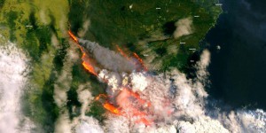 Australie : 200 incendies incontrôlables ravagent deux Etats du sud-est