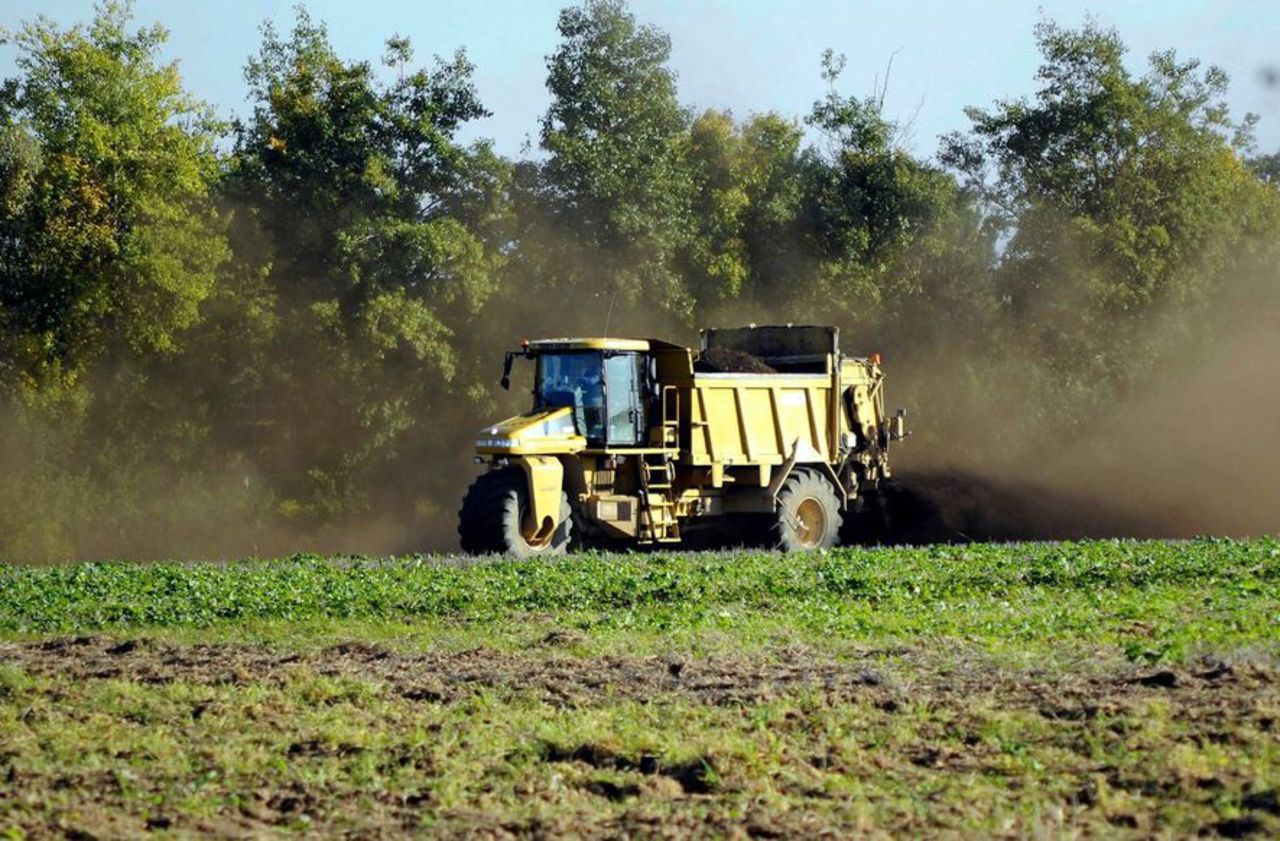 Le Conseil constitutionnel valide l’interdiction d’exporter des pesticides prohibés dans l’UE