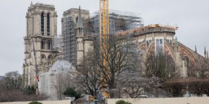 Notre-Dame : l’ordre des architectes préconise une charpente en bois, solution la plus écologique