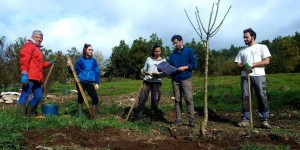 En Haute-Loire, Simon et Chloé ont planté une forêt comestible