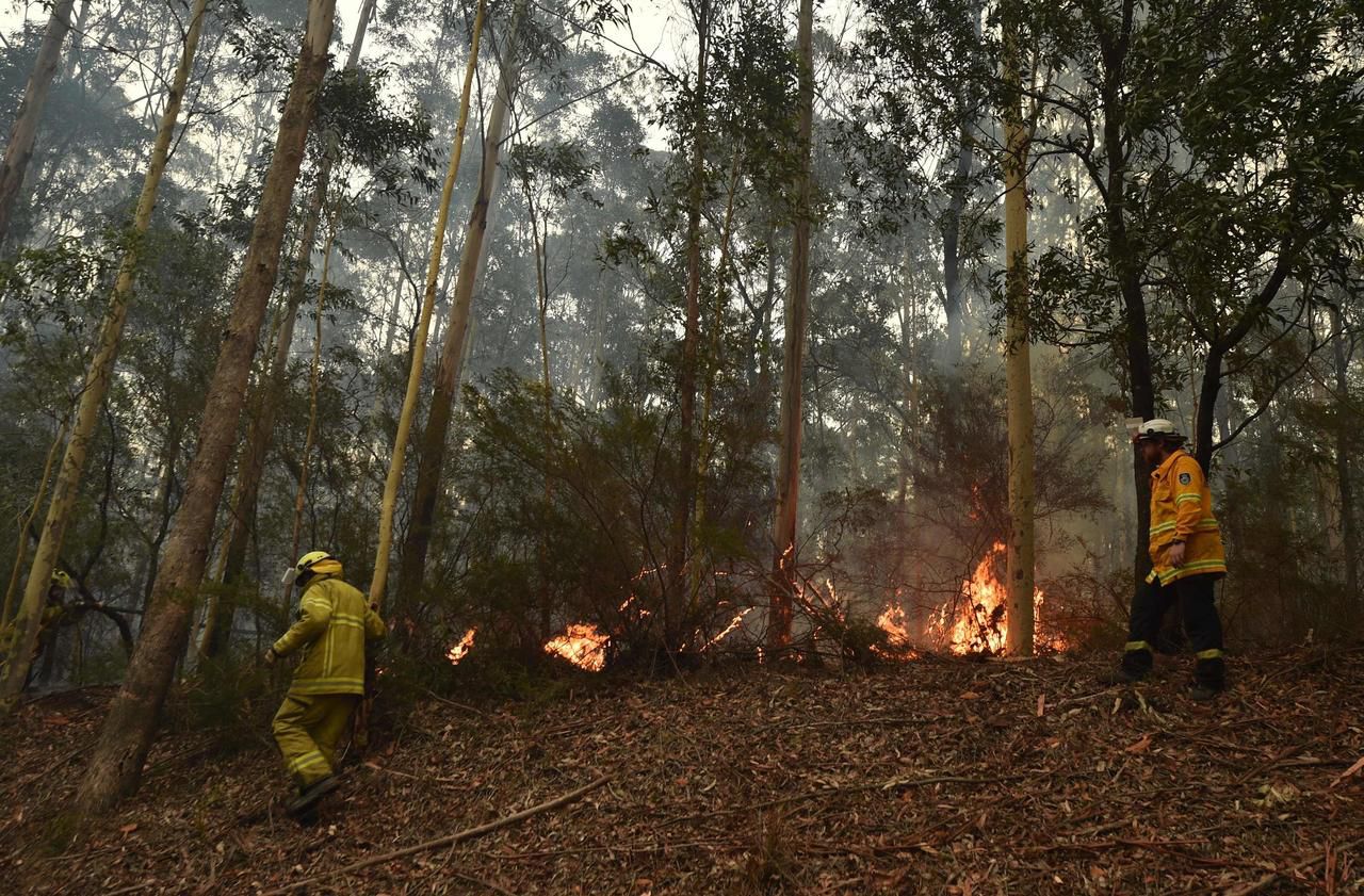 Incendies en Australie : le pire reste à venir