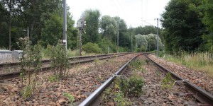 Première utilisatrice de glyphosate, la SNCF tente de désherber autrement