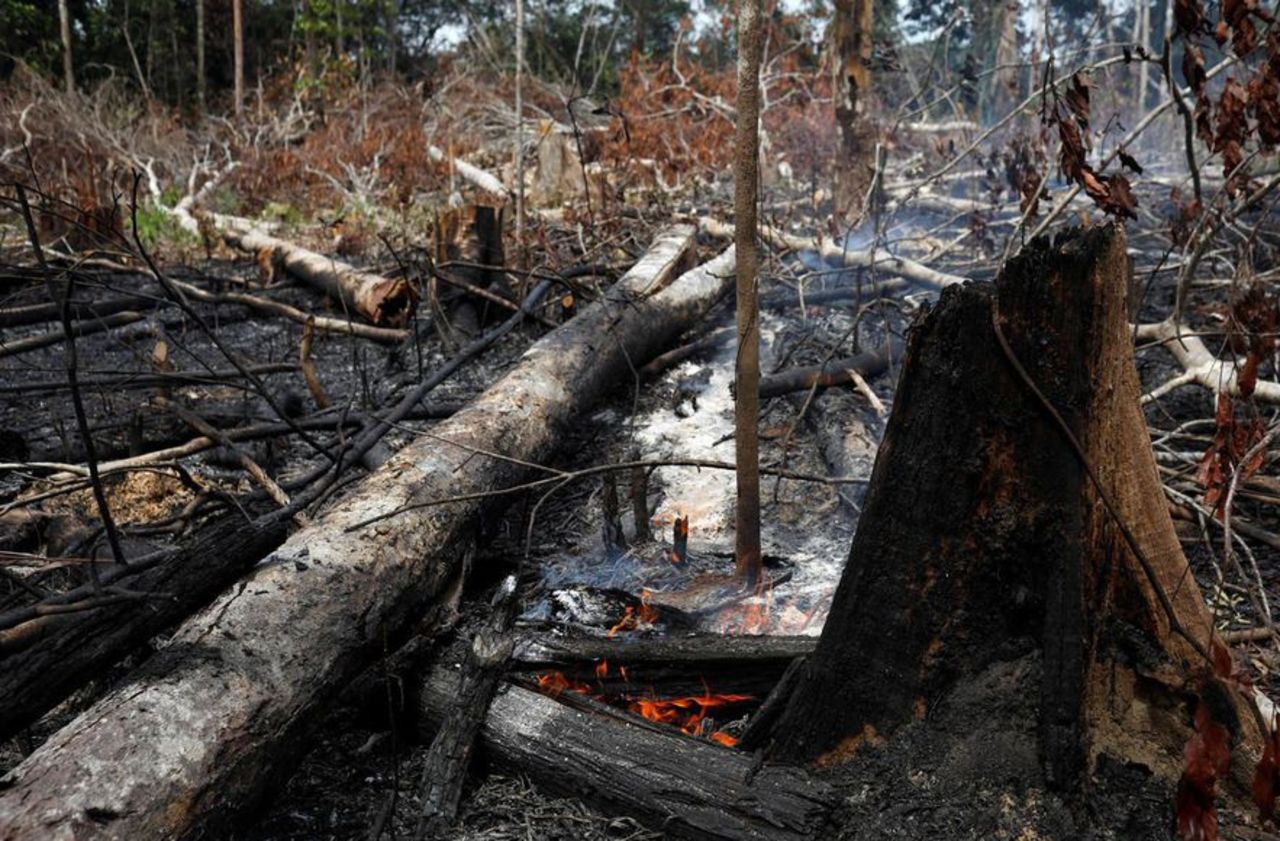 Amazonie : pendant l’épidémie de coronavirus, la déforestation s’accélère