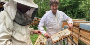 Confinement : les abeilles alsaciennes produisent du miel comme jamais !
