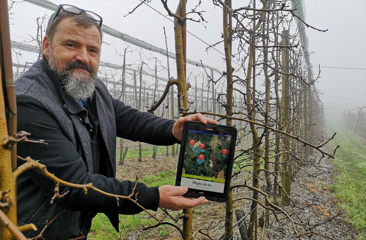 Pesticides : en Corrèze, un SMS avertit les riverains d’un épandage sur les pommiers