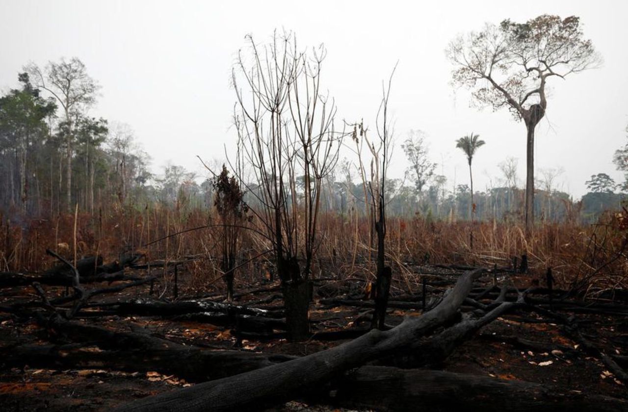 Brésil : la déforestation en Amazonie continue de battre des records