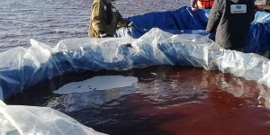 Marée rouge en Russie : la plus grave catastrophe en Arctique depuis 30 ans