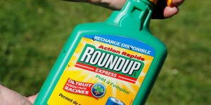 Procès Roundup : Bayer va indemniser les plaignants à hauteur de 10 milliards de dollars